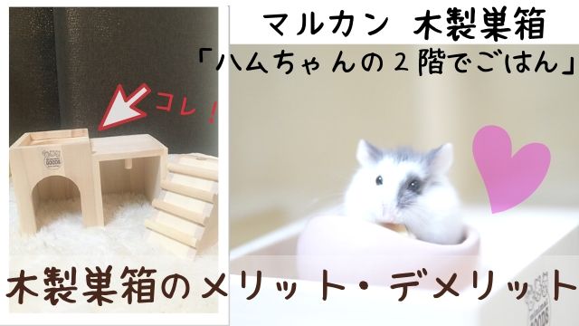 ハムスターの木製巣箱 「ハムちゃんの２階でごはん」掃除は大変？ | はむねこメモリアル