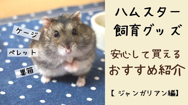 ハムスター 飼育グッズ】安心して買えるおすすめを紹介！ | はむねこ