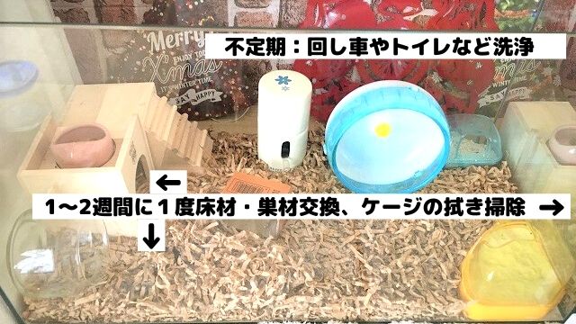 毎週のお世話